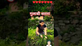 #pahadi #inderr #dance #love #song #newsong #trending #inderarya #gulabisarara #pahadimusic