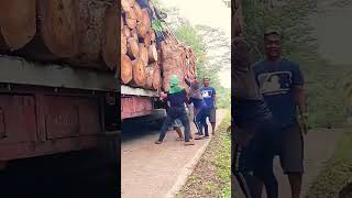 techniques for transporting large logs collaboratively #shorts