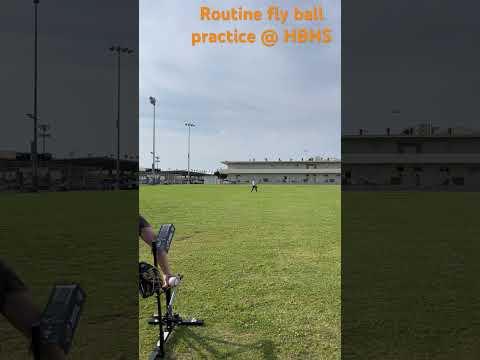 Alrek catching fly balls in the park by Huntington Beach High School