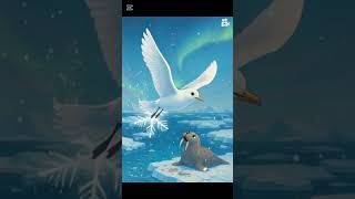 Dancing Seagull Squawk Squawk Song | Fun Kids Song #animalshorts #kidssong #kidslearning #funkids