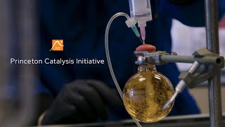 Princeton Catalysis Initiative