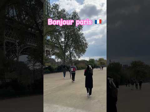 Dream come true 🇫🇷🩷 #shortsfeed #shorts #vlogshorts #travelvlog #europetravel #europetravelvlog