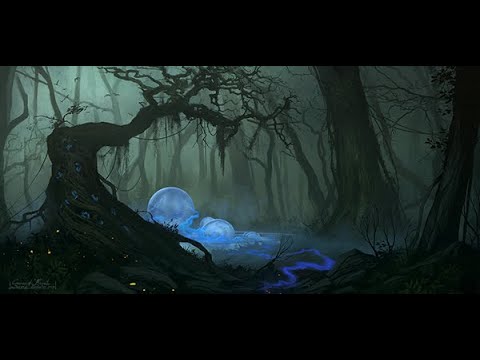 The Cursed Jungle
