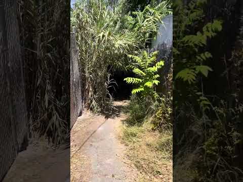Exploring Los Angeles