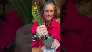 Don’t keep buying, plant them instead #springdiy #springdaffodils #daffodil #springhomedecor