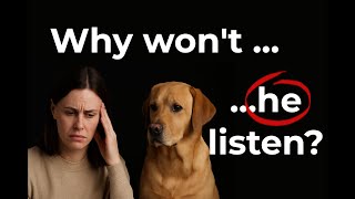 Your Dog Isn’t Disobedient. They’re Disconnected. Why Training Fails When the Bond Is Broken
