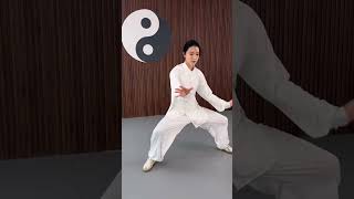 上下相随人难近，牵动四两拨千斤。#传统武术 #功夫 #太极拳 #武术