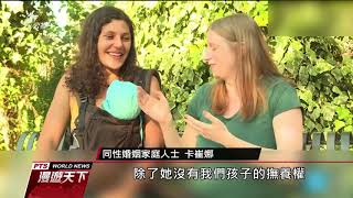 法國同性或是單身女性 人工受孕新法案出爐