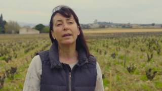 Vineyard Stories: Domaine du Pegau
