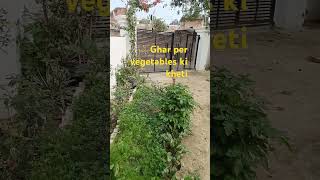 Vegetables and flower plants#shortviral #house#shortvideo #apache @Shivamvlogs-c1p