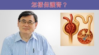 你真的了解自己的腎功能嗎？3 個指標幫你守護腎臟健康｜顧小培博士文章分享