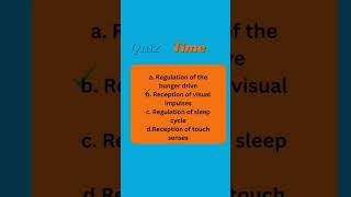 function of occipital lobe #occipital lobe#brain