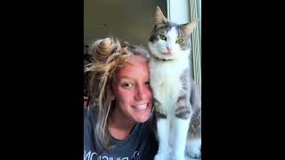 The way cats love you #cat #usa #funnyvideo #foryou #cutecat #catlover #fyp