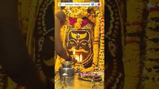 #mahakal #song #hindudeity #new #jaimahakal #mahadev #kedarnath #iloveujjain #ujjain #new #nature 🌿🍃