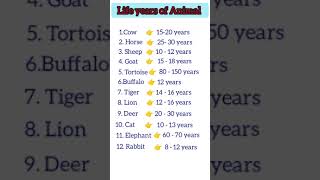 Life span of animals 🐢🐘🐄 animals #shorts #youtube shorts