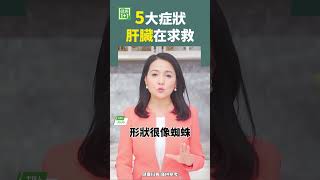 5大症狀 肝臟在求救 #肝臟 #肝癌 #肝炎