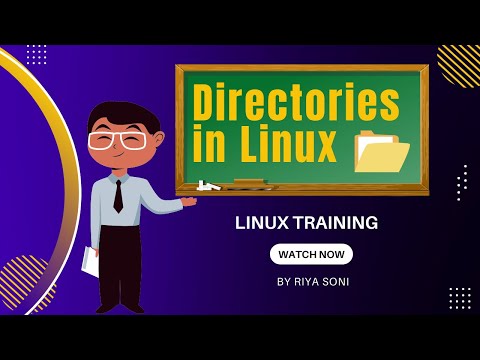 Linux Directory: Essential Commands for Beginners