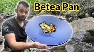 Batea Pan for Glacial Gold