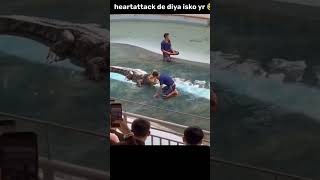 heart attack dila De yaar isko 😂🤣#catcomedy #shorts #viralshort #subscribe #share #catworld