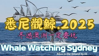 🌻悉尼🌻Whale watching in Sydney 2025|悉尼觀鯨之旅|悉尼自由行2025#澳洲旅遊 #sydney @Alice in the Ozland Ep.62