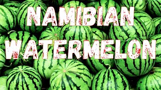 HUGE WATERMELON BOUGHT IN WINDHOEK NAMIBIA SOUTHERN AFRICA