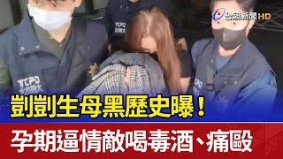 剴剴生母黑歷史曝！ 孕期逼情敵喝毒酒、痛毆