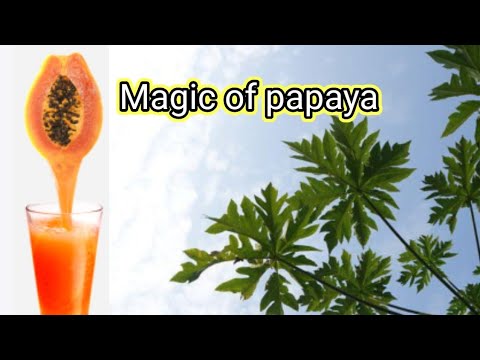 Papaya Fruit Magic