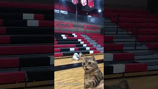 Unlucky moments 😂🤣 pt.2 #funny#short #epicfails