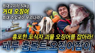 포악한 괴물 오징어가 식용? 게다가 최대 수입국이 우리나라?│해산물 천국 페루! 만선의 꿈을 실은 거센 파도 위의 4박 5일 항해기!│페루 훔볼트 오징어 잡이│극한직업│#골라듄다큐
