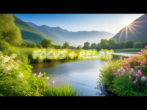 Transform Your Experience with Calming  Music Ideal for Sleep, Work, and Concentration