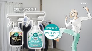 花王 リセッシュ 除菌EX ワイドジェットストロング 「悩める女性 部屋干し臭」 動画広告