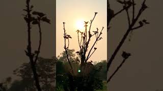 #sadsong#nature#villagelife#00929