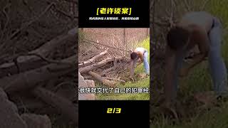 山西大案：黨成喜的梨園地宮 #案件 #探案 #懸案 #懸疑 #案件解說
