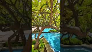 The views are breathtaking Marriott Curacao #marriott #marriottbonvoy #marriotthotel #traveltok