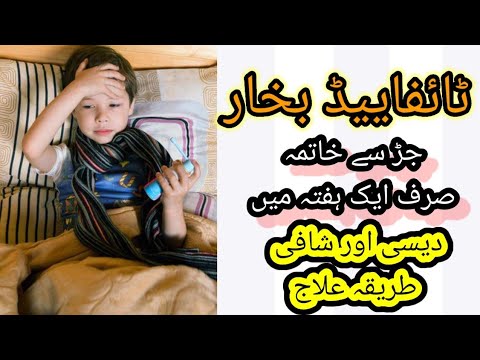 Herbal Treatment Of Typhoid Fever