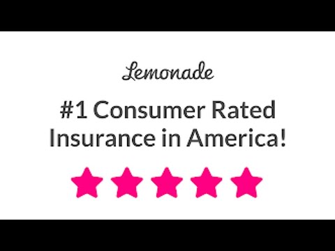Pet Parents Reviews On Lemonade Pet Insurance