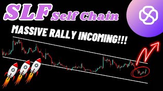 Massive Rally Of Self Chain Incoming!!! | SLF Crypto News