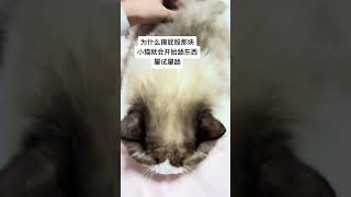#搞笑 #搞笑视频 #搞笑日常
