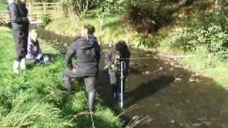 River Bollin Fieldwork