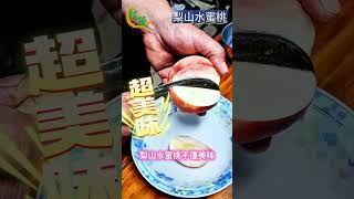 水果界愛馬仕 梨山水蜜桃 秋茂輔導松茂阿邦的果園季節限定甜蜜上市