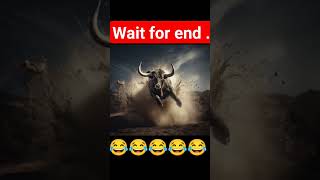 bull #shorts  #ytstudio #jsfacts #bull #illution #viral #illusion #funny #jsfactshindi #gk #comedy