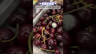 Costco物价，美国真实生活成本……