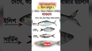 ইলিশ চিনে রাখুন | Original Hilsha Fish #1million #shortvideo #viralvideo #hilshafish #subscribe