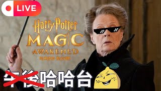 [啊柳遊戲直播] 哈利波特:魔法覺醒｜斯哩媽ㄙㄟˋ不小心睡鼠了只好深夜哈波台了🤡