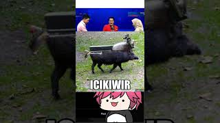 MEME REVIEW #62