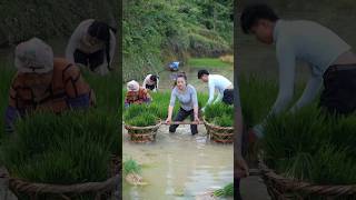 You Won’t Believe This is Real Life in China 🇨🇳😳 #Shorts