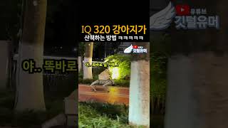 아이큐가 높으면 왜 다 흑화 하는 걸까 ㅋㅋㅋㅋㅋ
