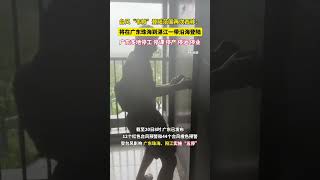 注意防范！台风“韦帕”今日将登陆广东，预计于20日下午至夜间在广东珠海到湛江一带沿海登陆，登陆时强度为台风级或强台风级。广东全力做好台风“韦帕”正面登陆前的各项防御工作，截至19日21时广东省