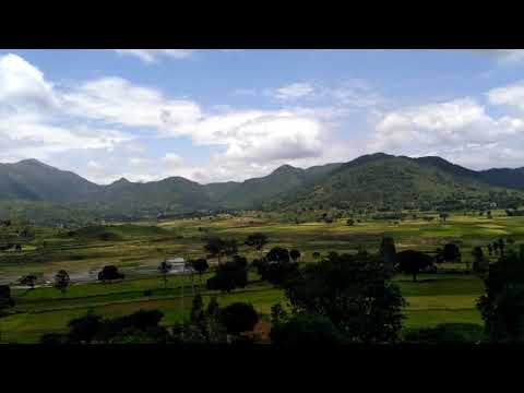 Araku Fields