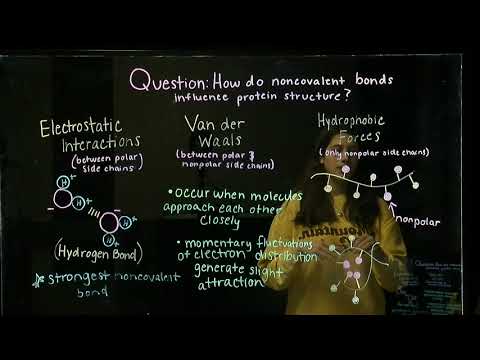 Evaluating How Noncovalent Bonds Influence Protein Structure (BIOS 041)
